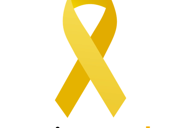 Ecovias Capixaba promove ações de segurança viária durante o Maio Amarelo 2026